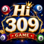 Hi 309 Game