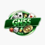 GN55 Game